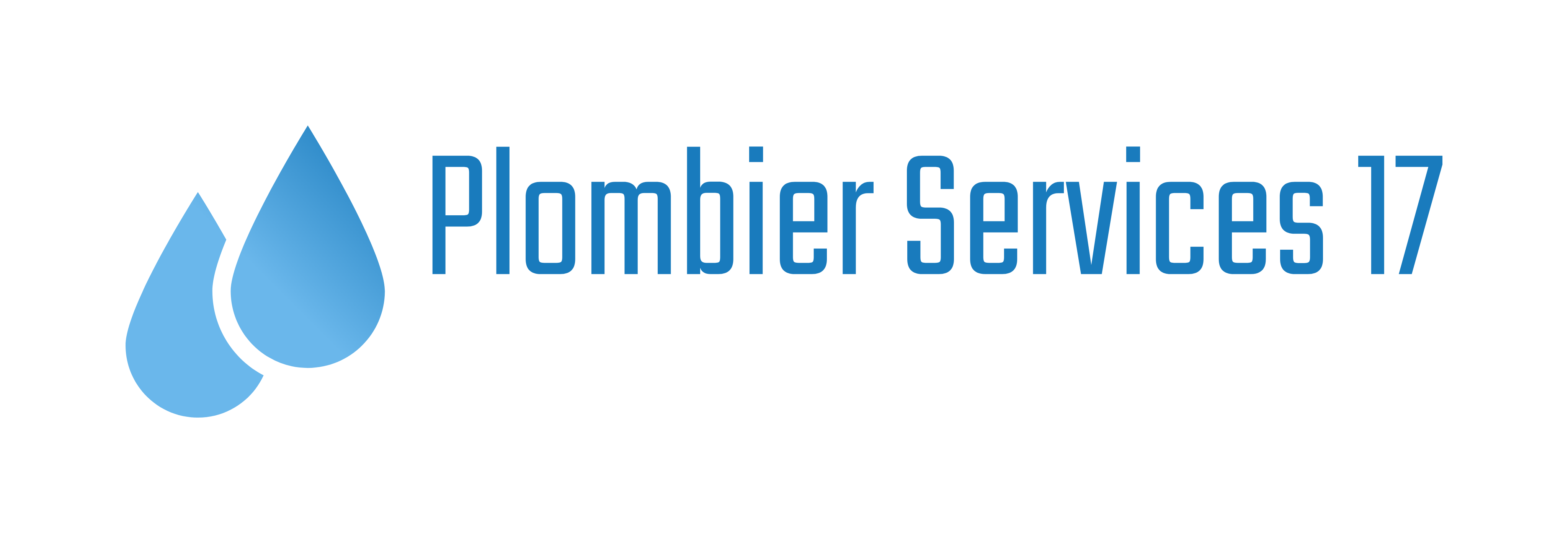 Plombier services 17